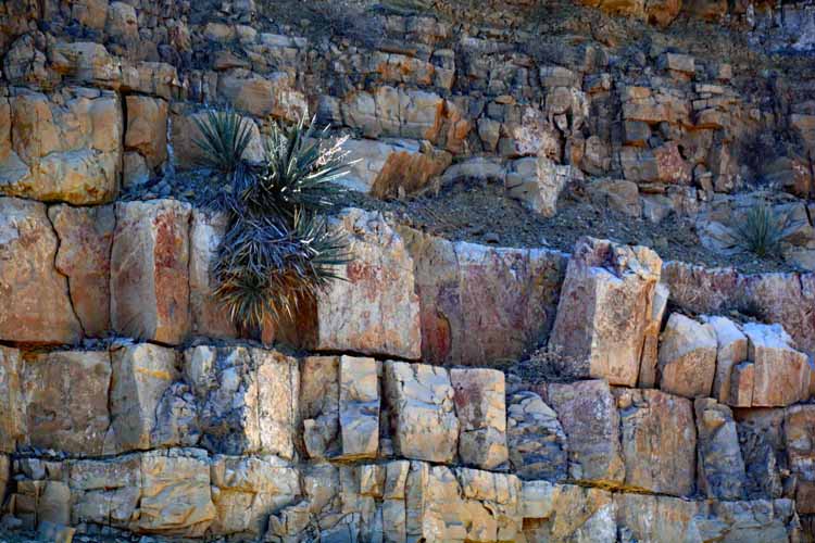 salt river canyon